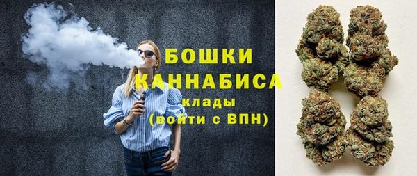 шишки Нея