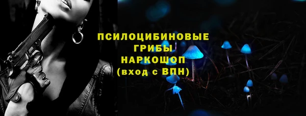 шишки Нея