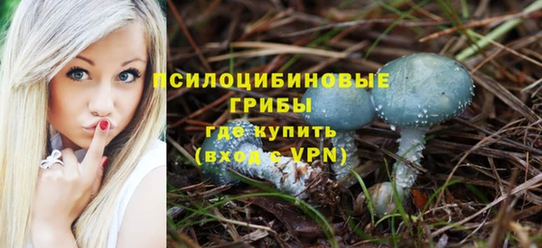 ешки Навашино
