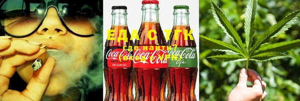 шишки Нея