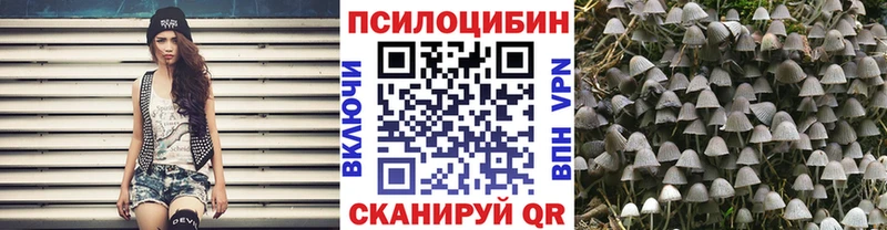 как найти закладки  Кораблино  Псилоцибиновые грибы GOLDEN TEACHER 